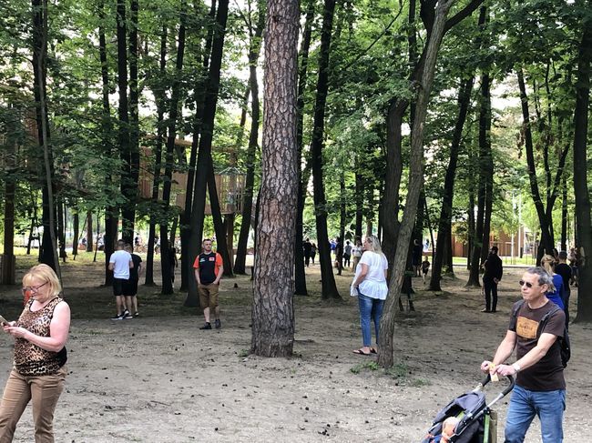 Park linowy w Stalowej Woli