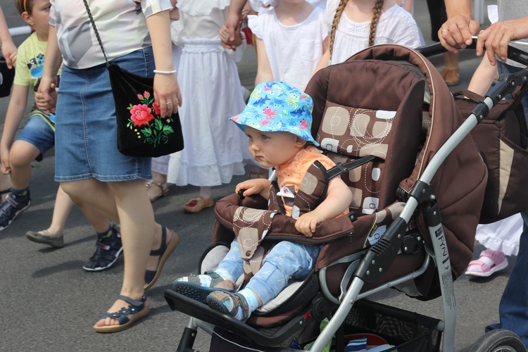 Marsz dla życia i rodziny w Łowiczu