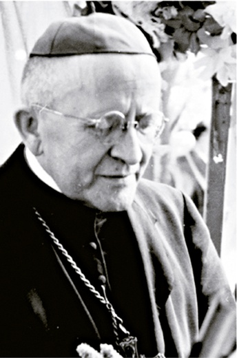 Bp Alexandru Rusu.