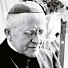 Bp Alexandru Rusu.