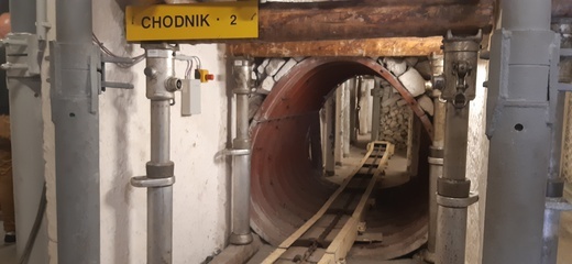 Bytom: wspólne ćwiczenia ratowników górniczych, strażaków, goprowców i alpinistów