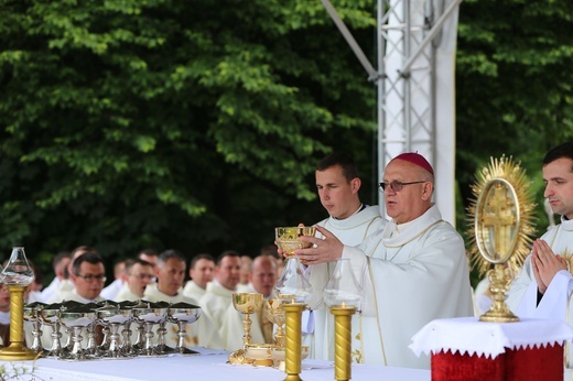 Ogólnopolska pielgrzymka ministrantów i lektorów