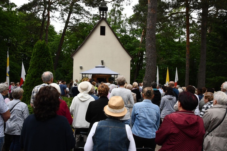 Diecezjalna Pielgrzymka Apostolatu Pielgrzymującej Matki Bożej