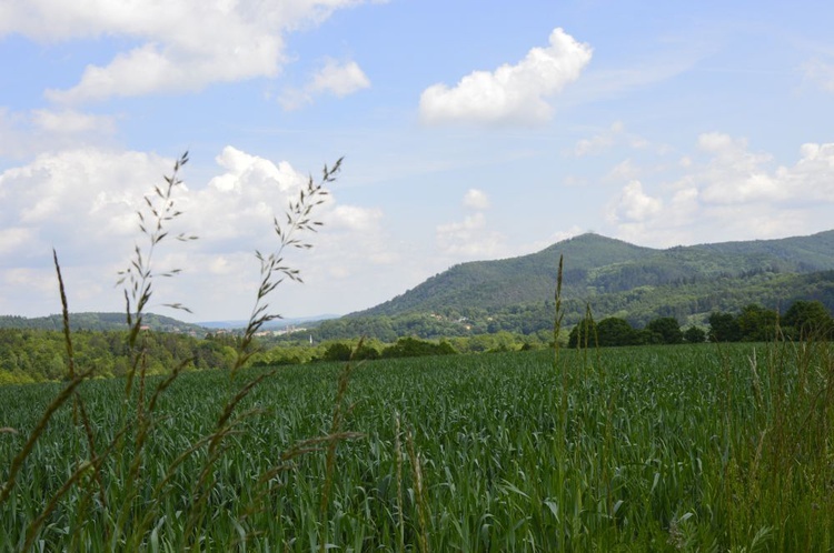 Pielgrzymka Noworudzian do Barda Śląskiego - cz. 02