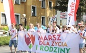 8. Marsz dla Życia i Rodziny w Oświęcimiu - 2019