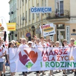 8. Marsz dla Życia i Rodziny w Oświęcimiu - 2019