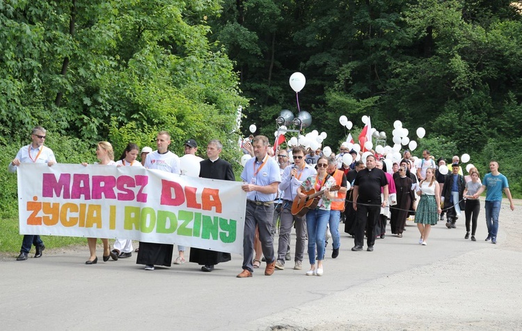 3. Marsz dla Życia i Rodziny w Żywcu - 2019