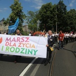 Marsz dla życia i rodziny w Katowicach 