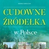 Cudowne źródełka w Polsce