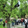 ▲	Podczas protestu przeciwko wycinaniu drzew przy Alejach Racławickich.