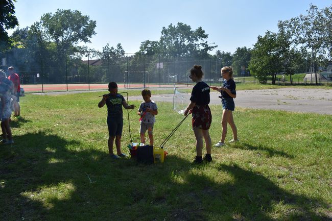 Piknik w Stalowej Woli