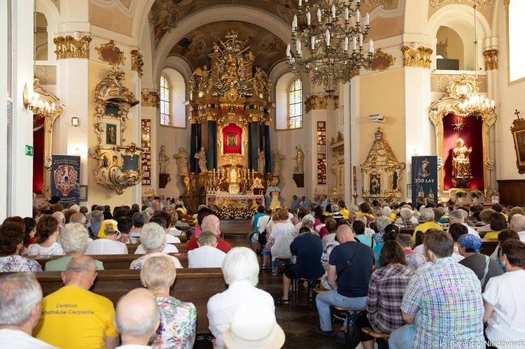 Pielgrzymka Chorych, Niepełnosprawnych i Służby Zdrowia do Rokitna