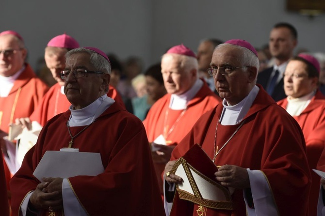 Msza się dla KEP w sanktuarium Relikwii Drzewa Krzyża Świętego w Wałbrzychu