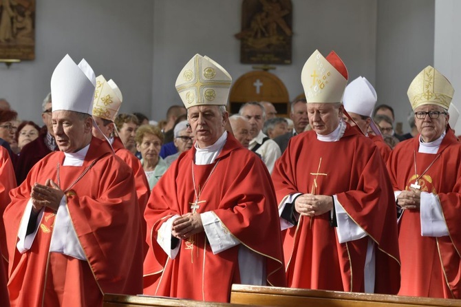 Msza się dla KEP w sanktuarium Relikwii Drzewa Krzyża Świętego w Wałbrzychu