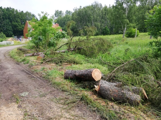 Nawałnica nad Rybnikiem. Najgorzej w Niedobczycach