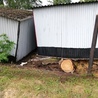 Rybnik. Nawałnica wyrywała drzewa i uszkodziła garaże