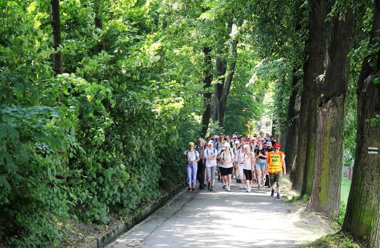 37. Pielgrzymka z Porąbki do Kalwarii Zebrzydowskiej - 2019