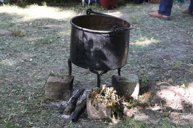 Piknik archeologiczny w Tarnobrzegu-Dzikowie