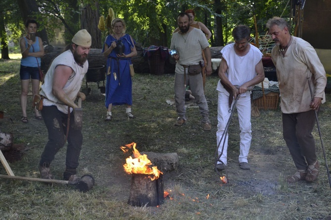 Piknik archeologiczny w Tarnobrzegu-Dzikowie