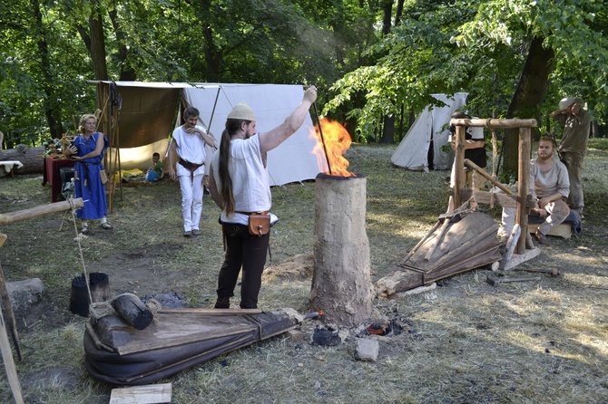 Piknik archeologiczny w Tarnobrzegu-Dzikowie