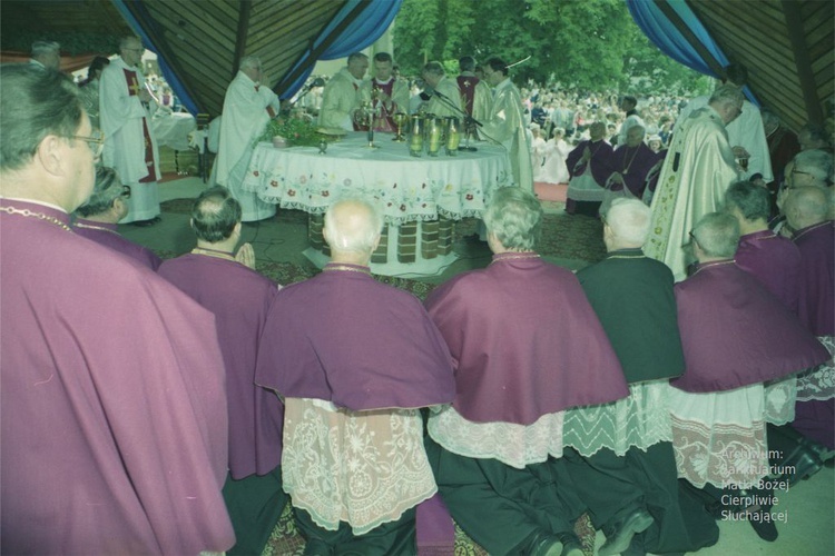 Koronacja obrazu Matki Bożej Cierpliwie Słuchającej w Rokitnie