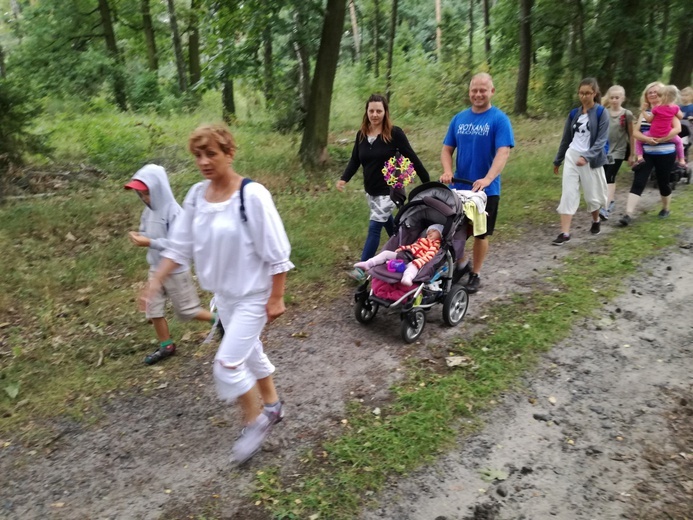 Pielgrzymka 2018 - u stóp Matki Bożej