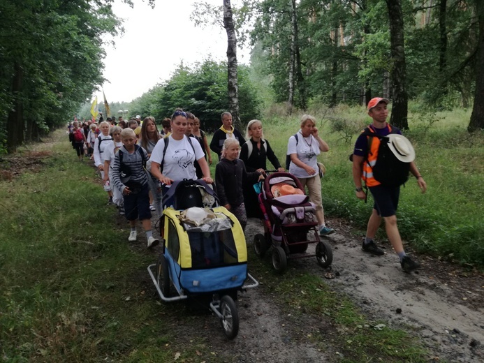 Pielgrzymka 2018 - u stóp Matki Bożej