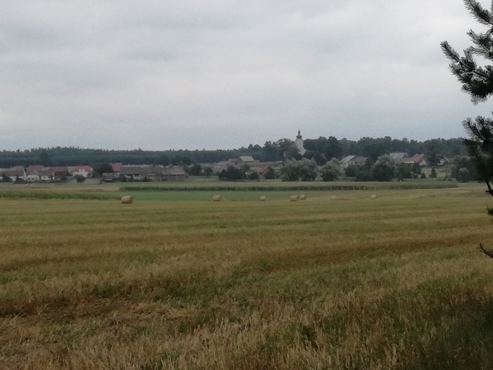 Pielgrzymka 2018 - u stóp Matki Bożej