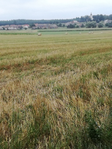 Pielgrzymka 2018 - u stóp Matki Bożej