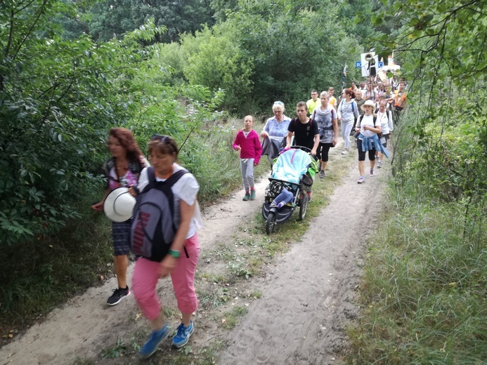 Pielgrzymka 2018 - u stóp Matki Bożej