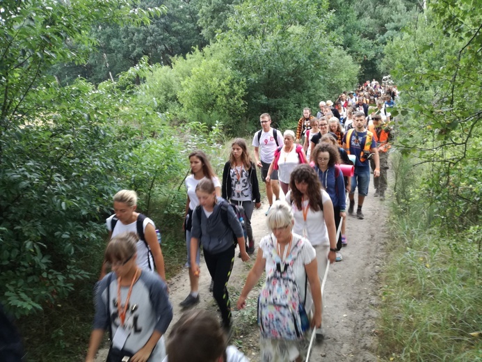 Pielgrzymka 2018 - u stóp Matki Bożej