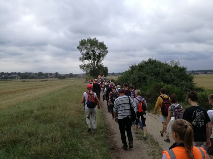 Pielgrzymka 2018 - u stóp Matki Bożej