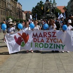 VII Marsz dla Życia i Rodziny Kraków 2019