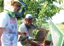 Pszczelarstwo często przekazywane jest z ojca na syna.  