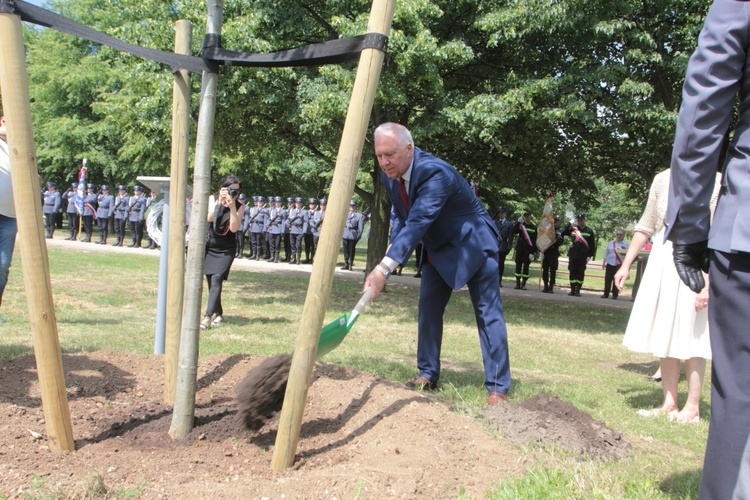 Policyjne Dęby Pamięci w Legnicy