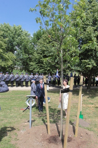 Policyjne Dęby Pamięci w Legnicy