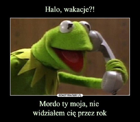 Memy na koniec roku szkolnego