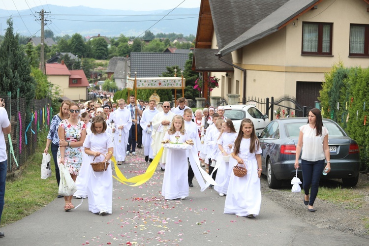 Boże Ciało w Łodygowicach Górnych - 2019