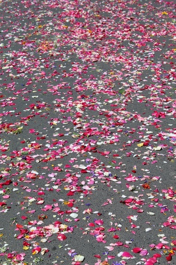 Procesja Bożego Ciała w Bagnie 2019