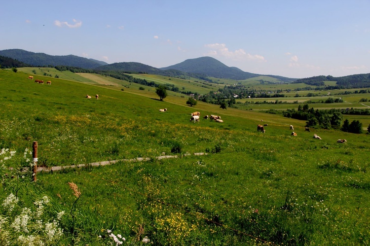 Diecezja na wakacje. Czyrna