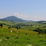 Diecezja na wakacje. Czyrna