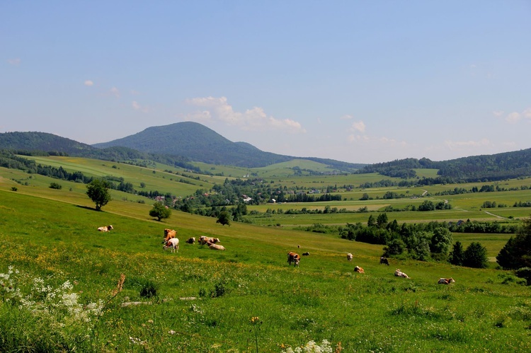 Diecezja na wakacje. Czyrna