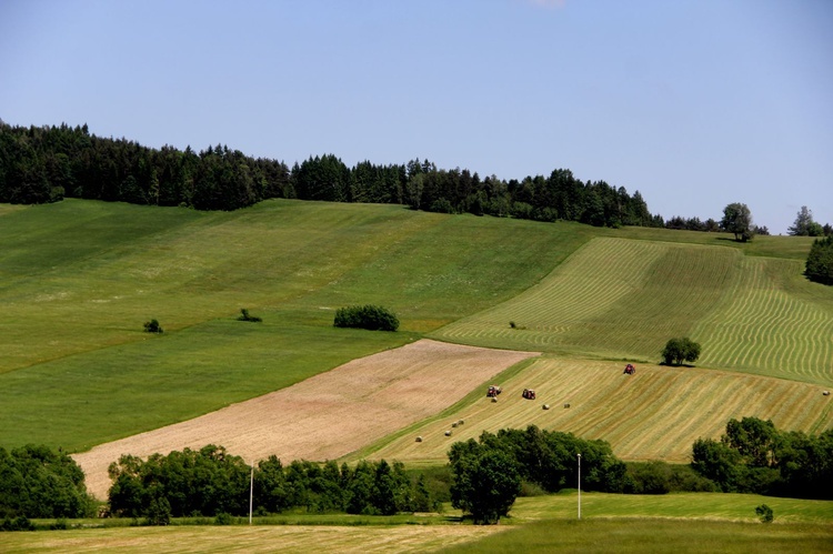 Diecezja na wakacje. Czyrna