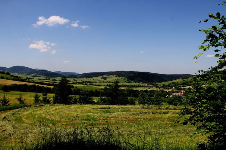 Diecezja na wakacje. Czyrna