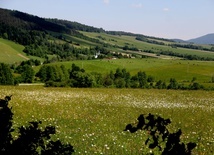 Diecezja na wakacje. Czyrna