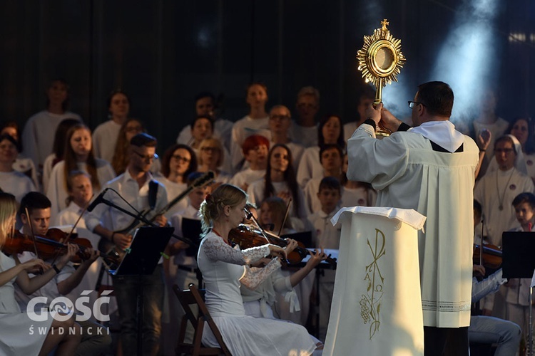 Sygnał Miłosierdzia 2019