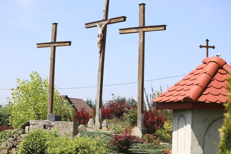 Pielgrzymka chorych do sanktuarium Chrystusa Cierpiącego w Bielanch - 2019