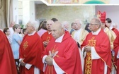 50-lecie poświęcenia kościoła w Drogomyślu