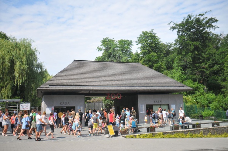 Krakowski Ogród Zoologiczny 2019