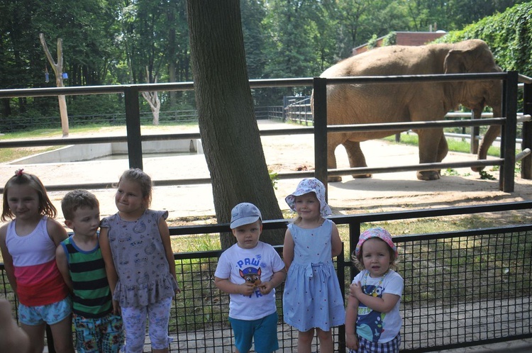 Krakowski Ogród Zoologiczny 2019